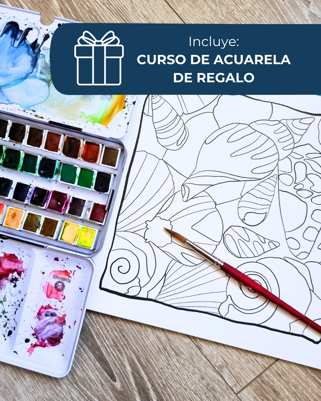Libro Guardianes del Océano_fineart_galeria_de_arte_agencia_de_arte