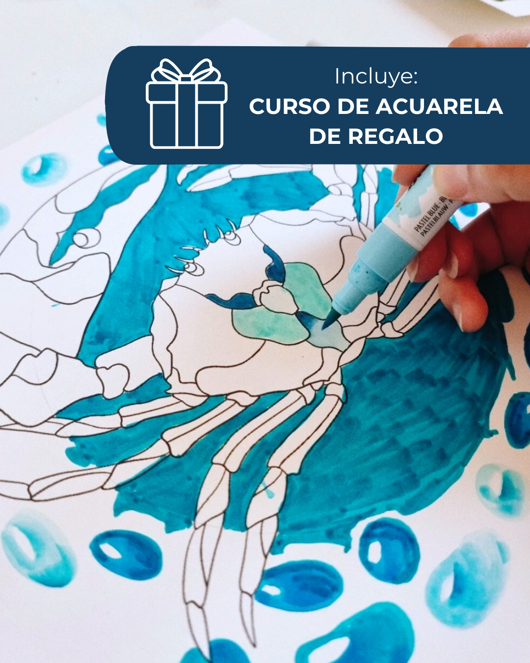 Libro Guardianes del Océano_fineart_galeria_de_arte_agencia_de_arte