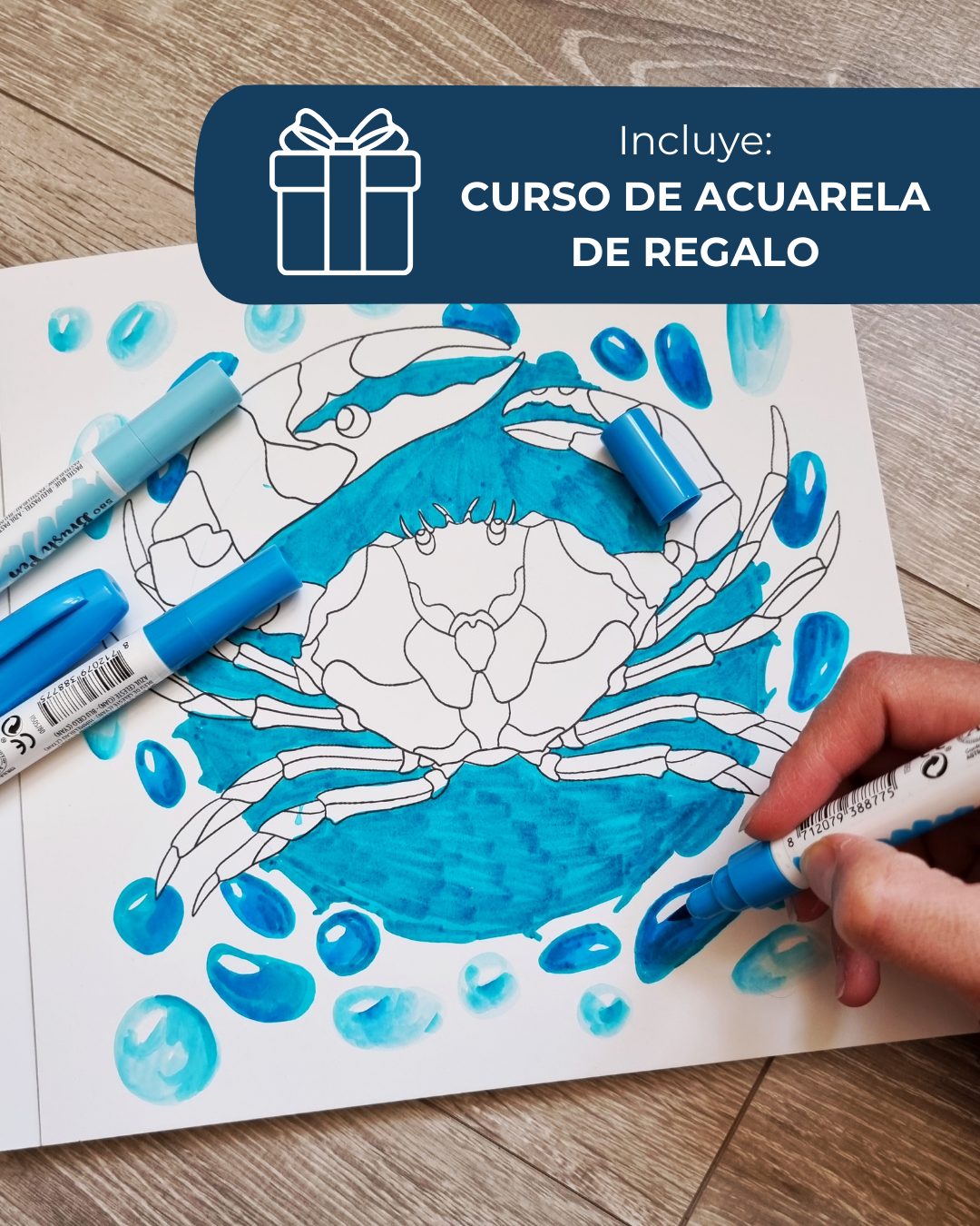 Libro Guardianes del Océano_fineart_galeria_de_arte_agencia_de_arte