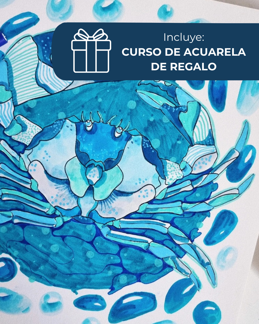Libro Guardianes del Océano_fineart_galeria_de_arte_agencia_de_arte